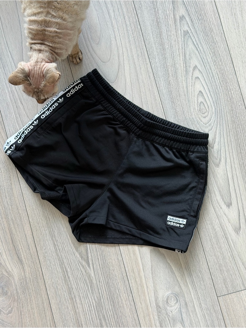 adidas Black Women’s Athletic Shorts with Logo Waistband